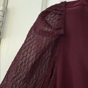 CeCe Burgundy Blouse with Sheer Sleeves